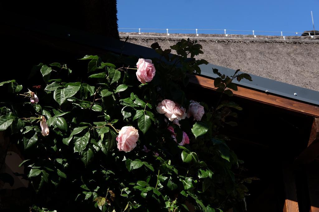 Cselling Udvarhaz Révfülöp Extérieur photo